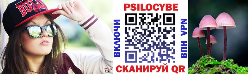Псилоцибиновые грибы Psilocybe  нарко площадка состав  Певек 