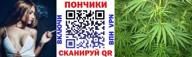 Бошки Шишки ГИДРОПОН  Певек 